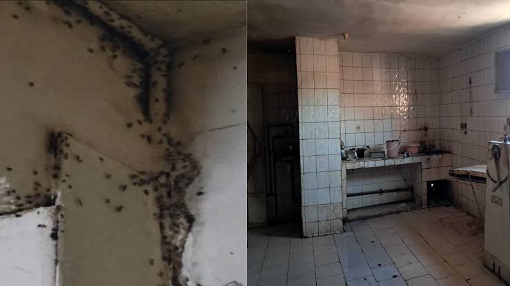 images-62 مراكش: لجنة المراقبة الإقليمية تداهم مخبزة بحي الدوديات وتضبط دقيقًا منتهي الصلاحية